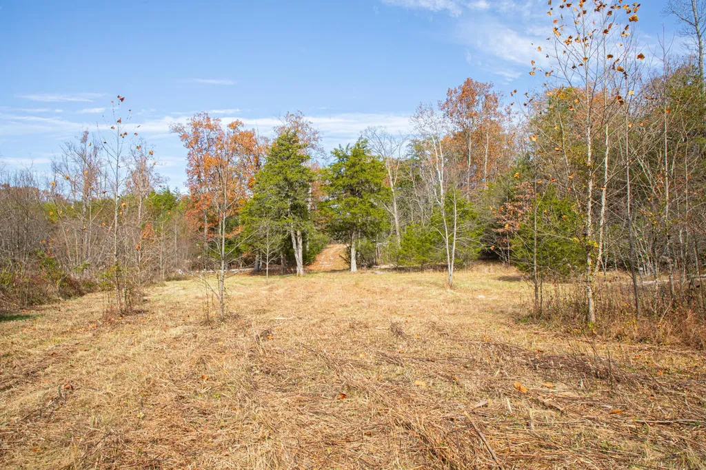 8201 Ky-92 Monticello KY 42633
