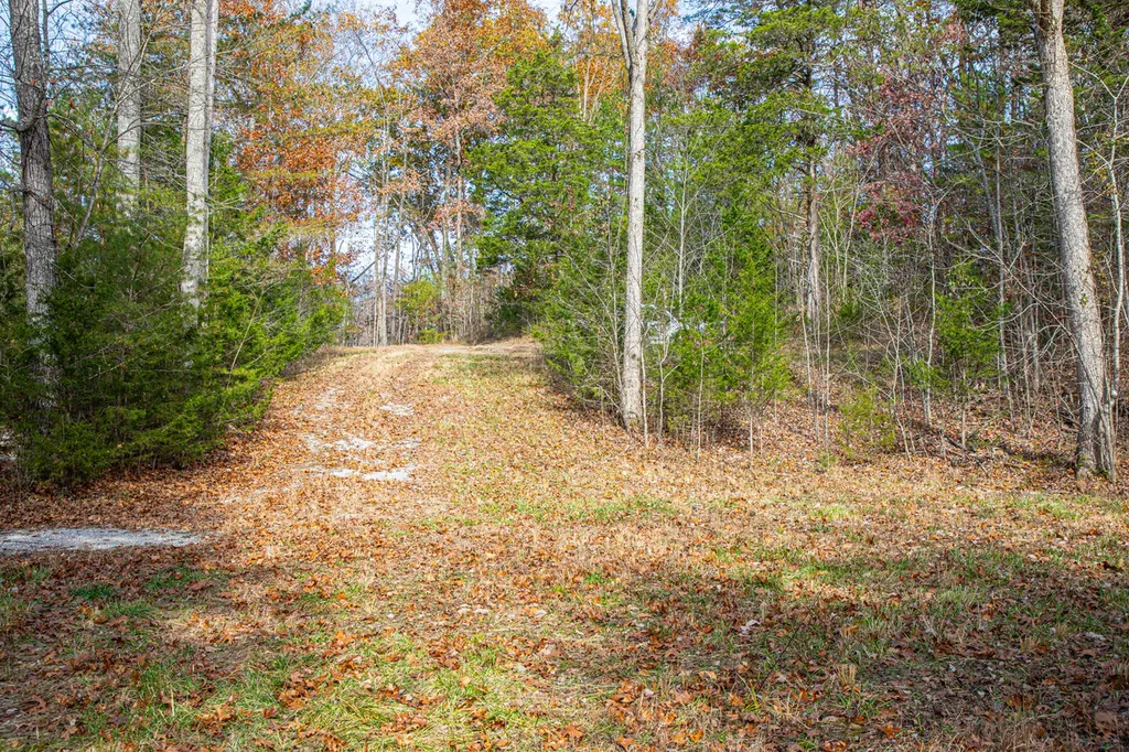 8201 Ky-92 Monticello KY 42633