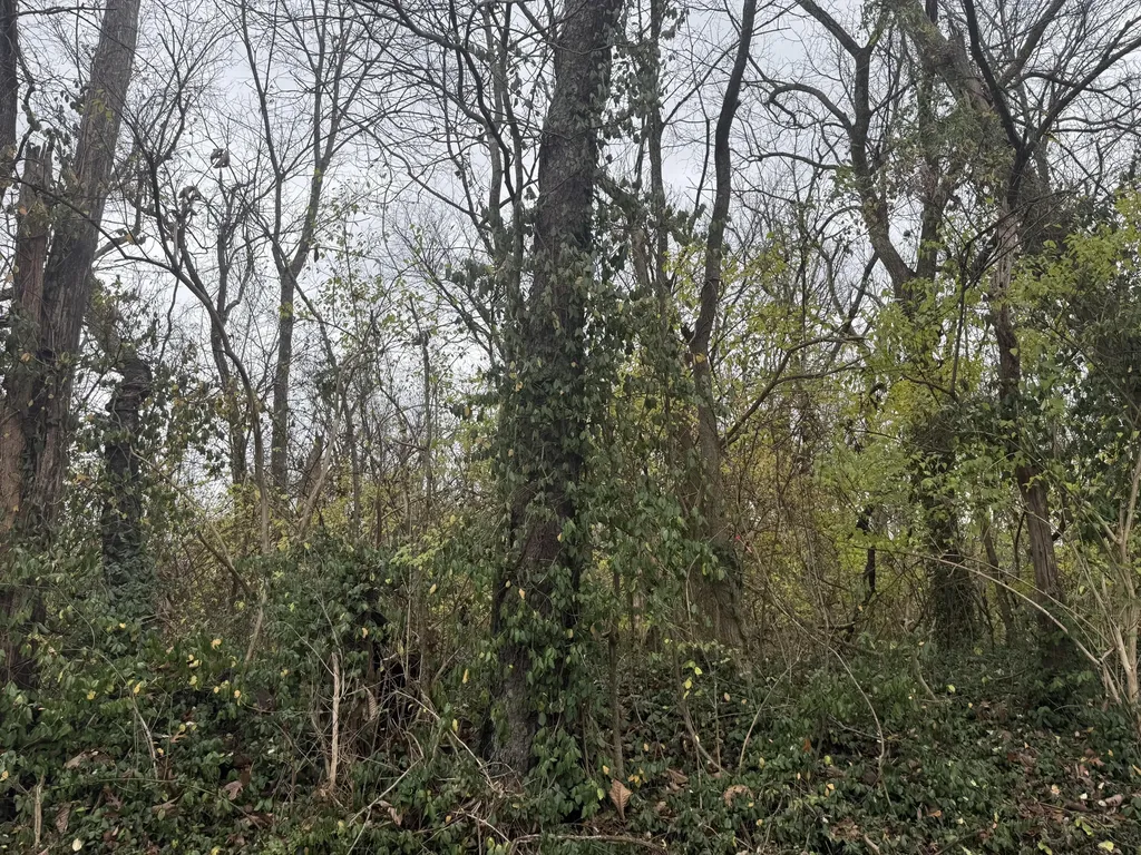108 Seven Oaks Drive Richmond KY 40475