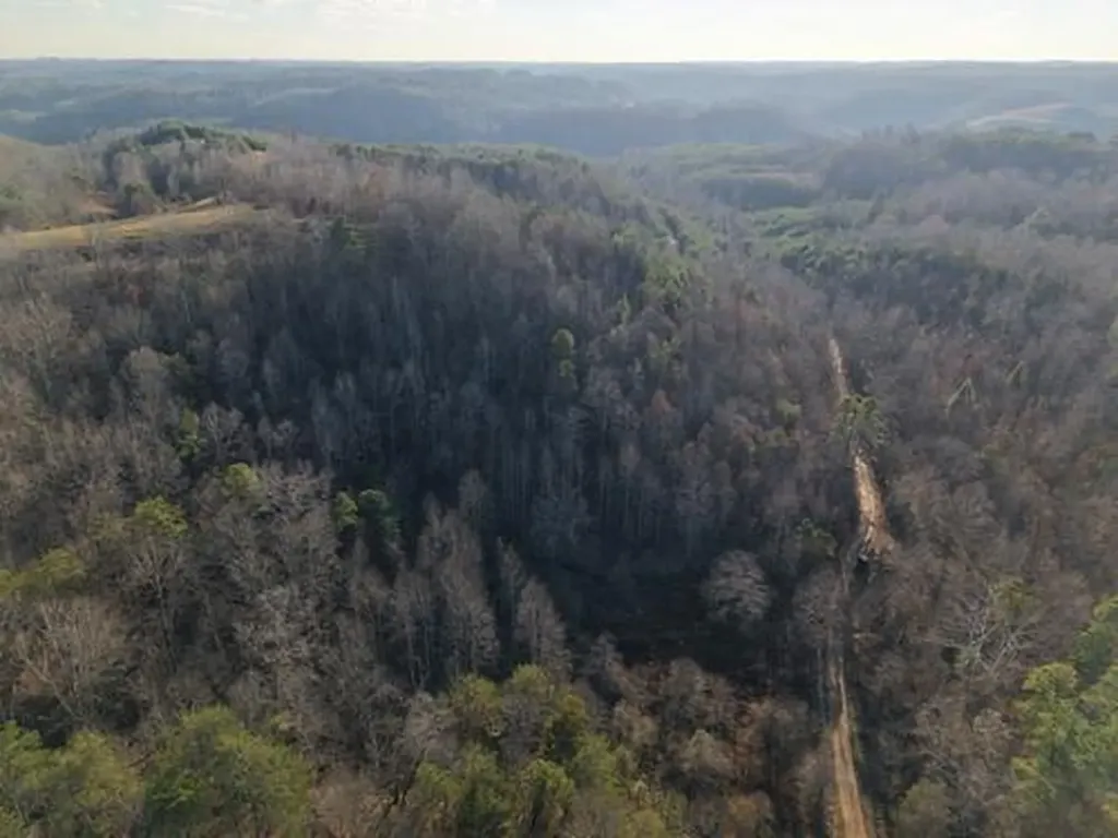 0 Delvinta Road Booneville KY 41314