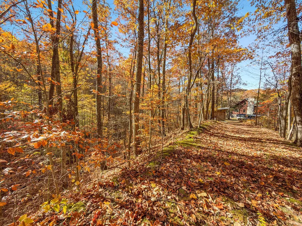 119 Spruce Valley Road Jeffersonville KY 40337