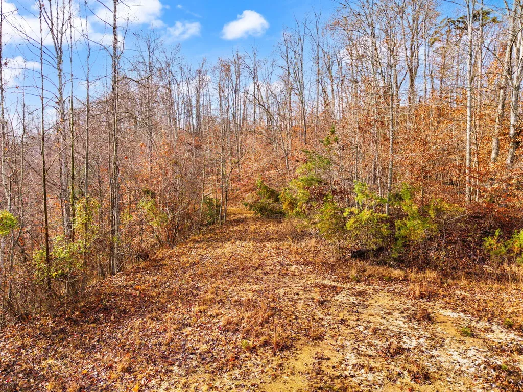 0 Ky-15 South Ky-15 South Campton KY 41301