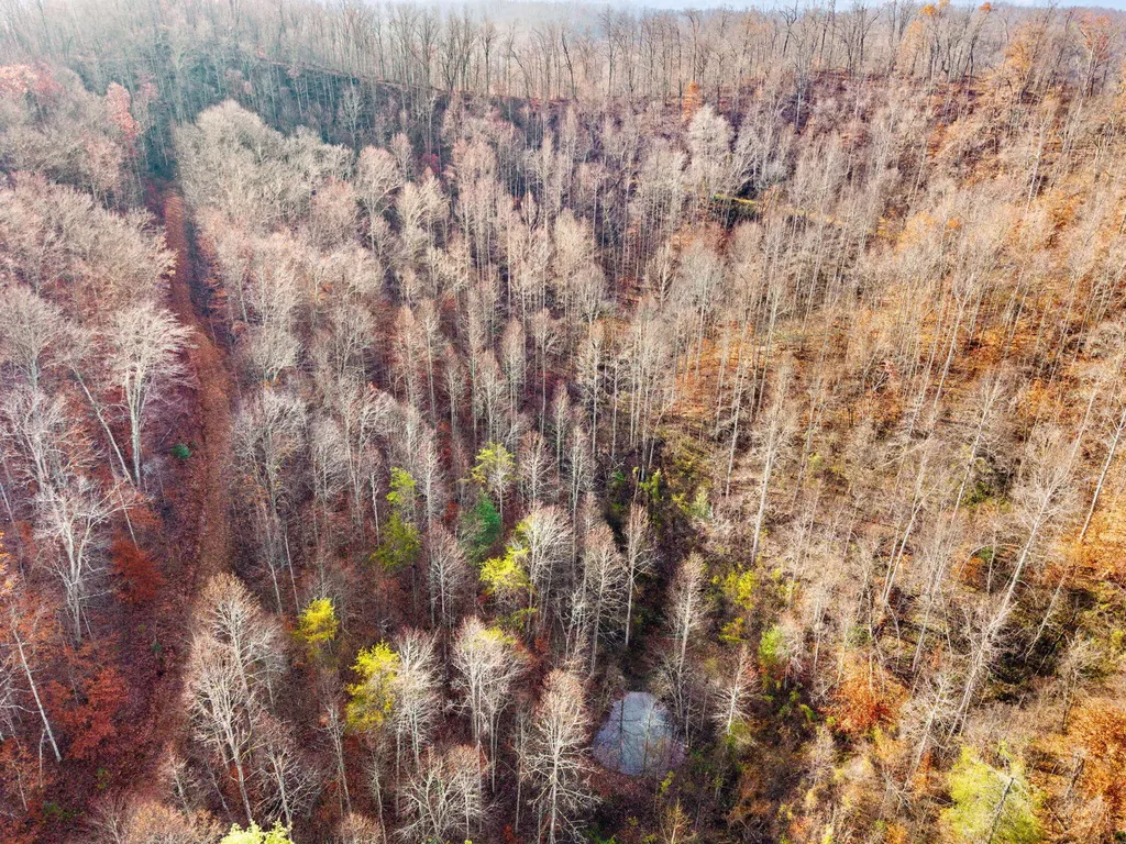0 Ky-15 South Ky-15 South Campton KY 41301