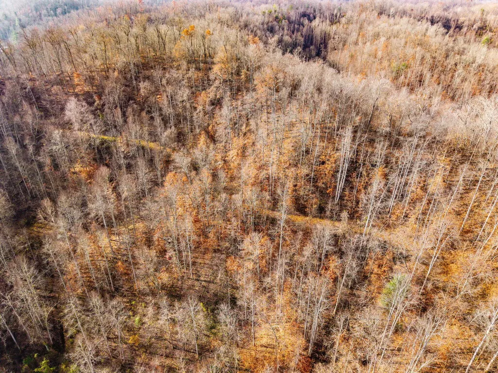 0 Ky-15 South Ky-15 South Campton KY 41301