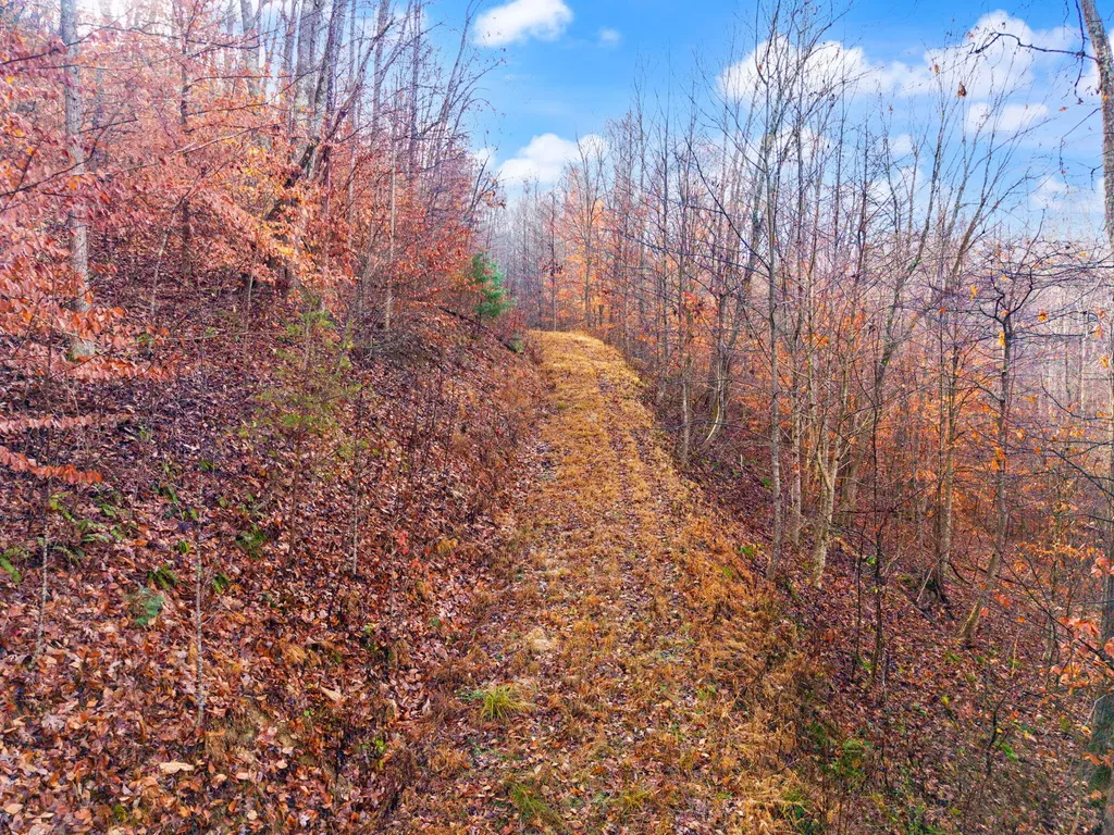 0 Ky-15 South Ky-15 South Campton KY 41301