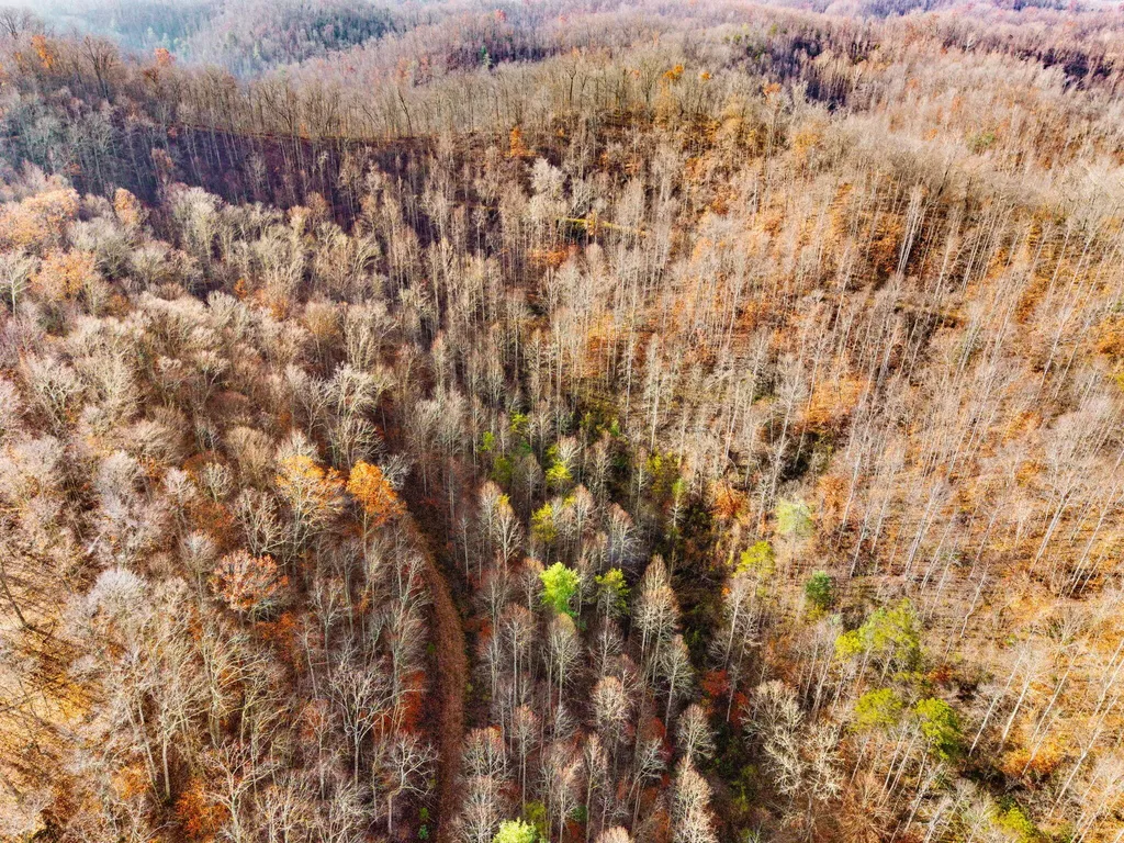 0 Ky-15 South Ky-15 South Campton KY 41301