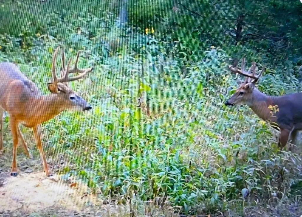 11171 Republican Pike Cynthiana KY 41031
