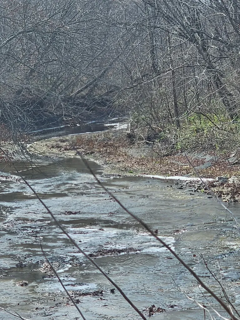 0 S Fishing Creek Road Waynesburg KY 40489