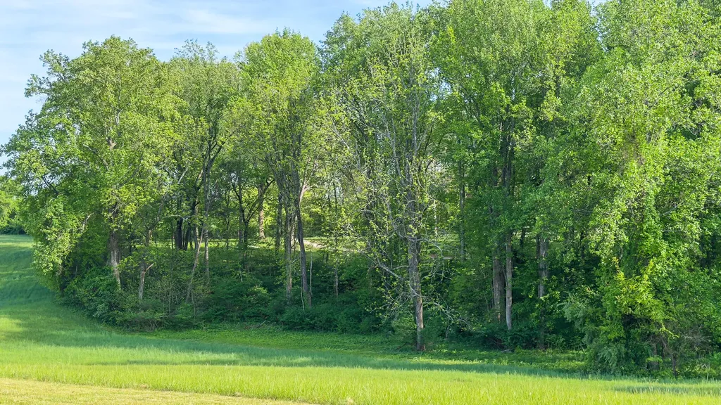 60 Darling Way Somerset KY 42503