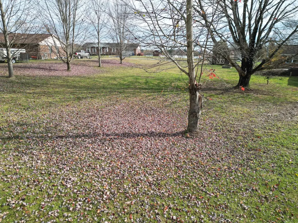 3183 N State Highway 1223 Corbin KY 40701