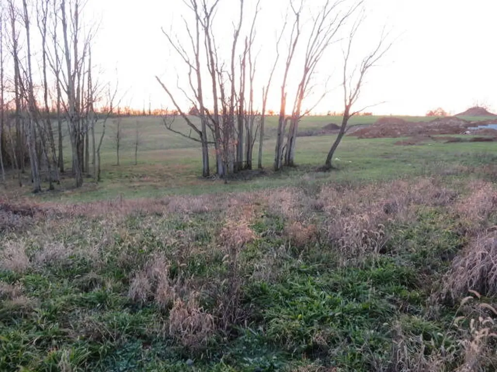 590 Craig Crossing Winchester KY 40391
