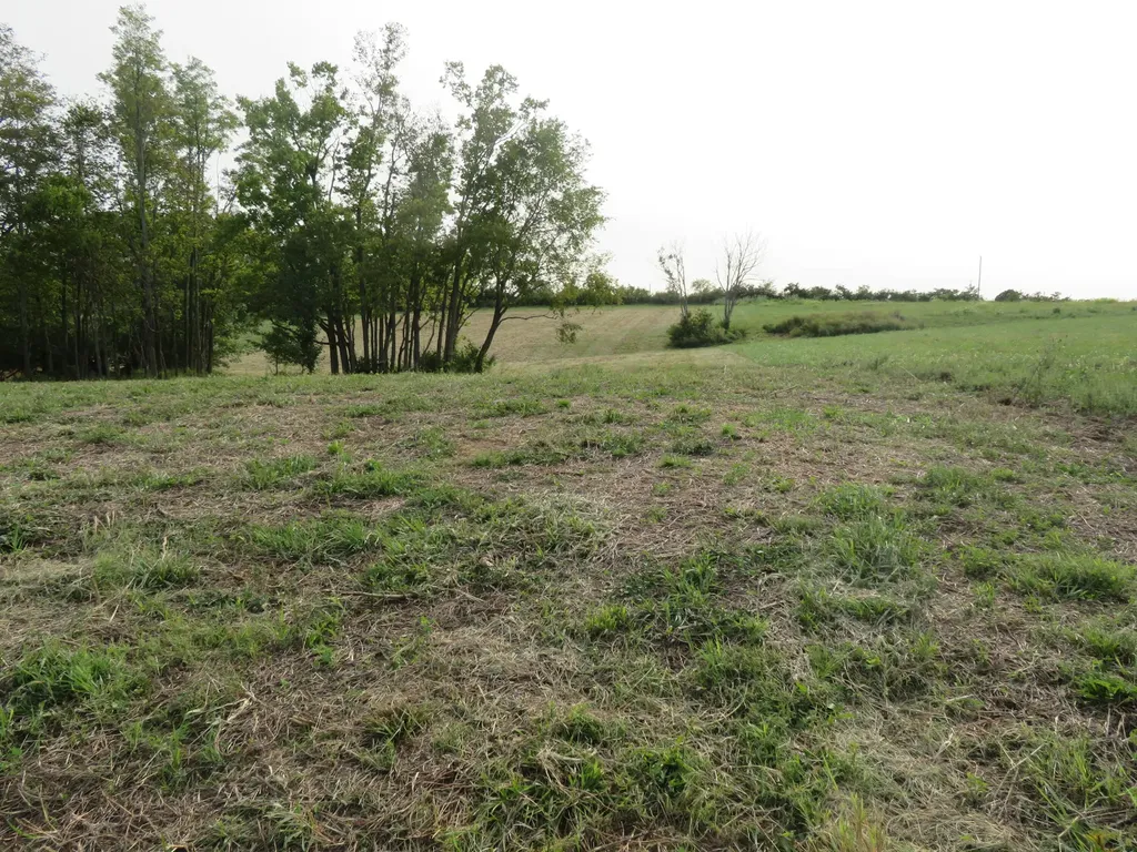 590 Craig Crossing Winchester KY 40391