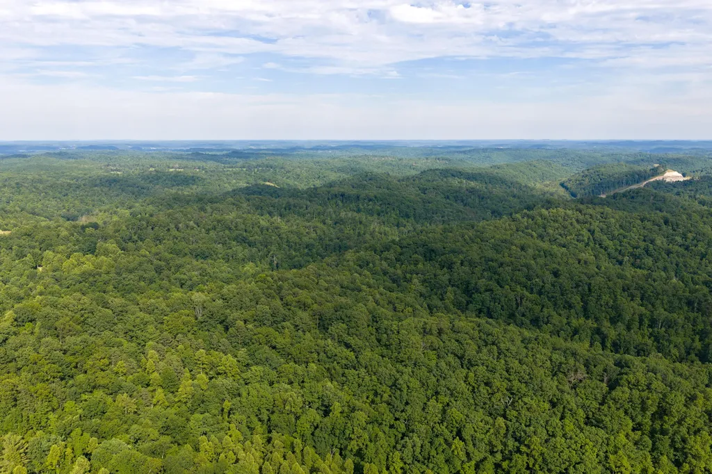 80 Gregory Way Olive Hill KY 41164