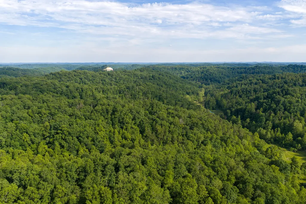 80 Gregory Way Olive Hill KY 41164
