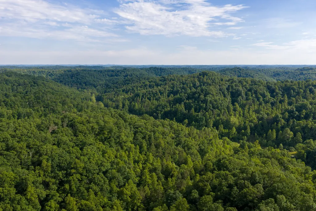 80 Gregory Way Olive Hill KY 41164