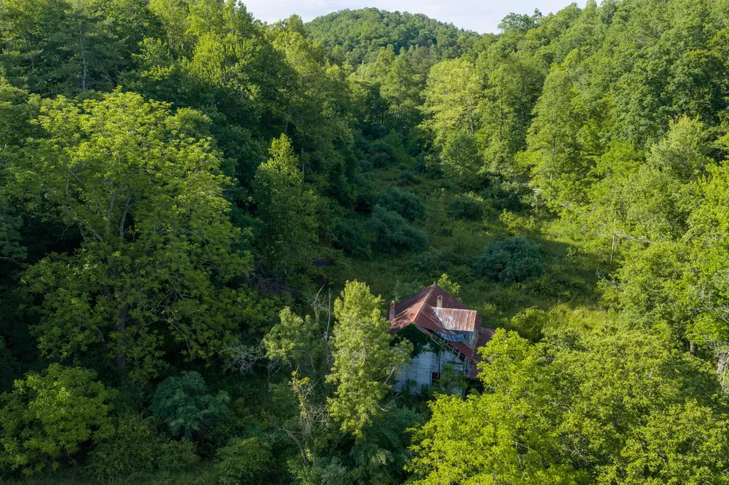80 Gregory Way Olive Hill KY 41164