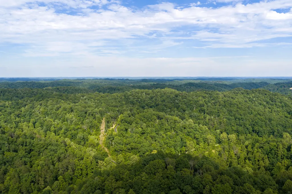 80 Gregory Way Olive Hill KY 41164