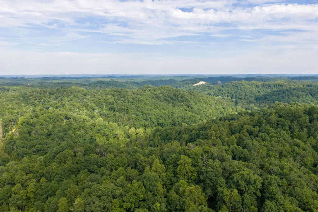 80 Gregory Way Olive Hill KY 41164