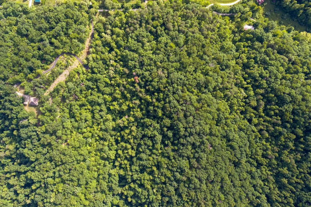 80 Gregory Way Olive Hill KY 41164