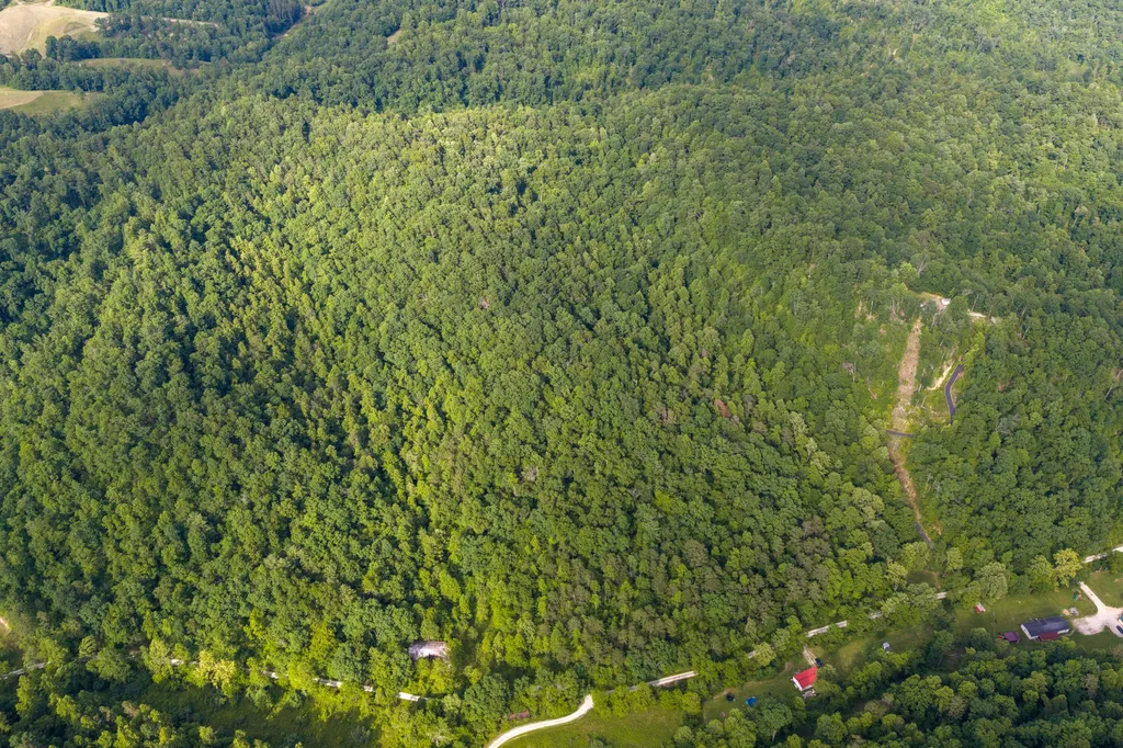 80 Gregory Way Olive Hill KY 41164