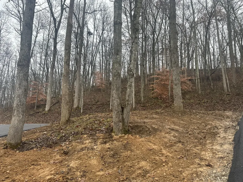 113 Lot 55 Yellowstone Drive East Bernstadt KY 40729