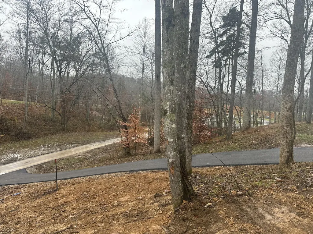 113 Lot 55 Yellowstone Drive East Bernstadt KY 40729