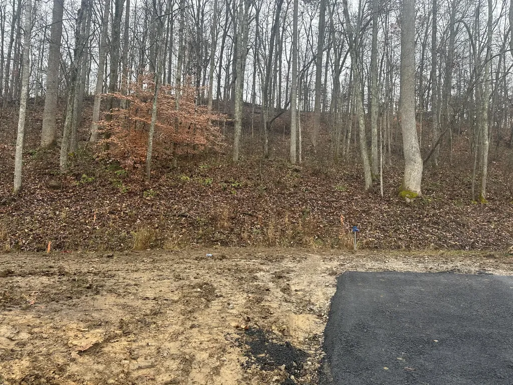 137 Lot 54 Yellowstone Drive East Bernstadt KY 40729