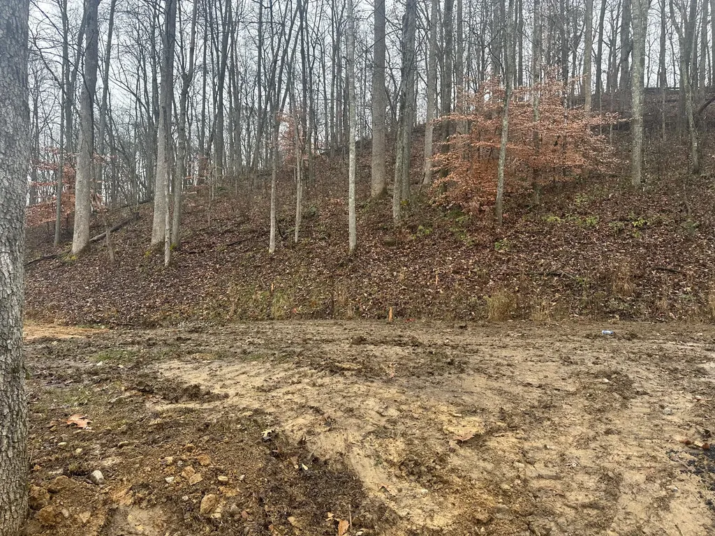 137 Lot 54 Yellowstone Drive East Bernstadt KY 40729