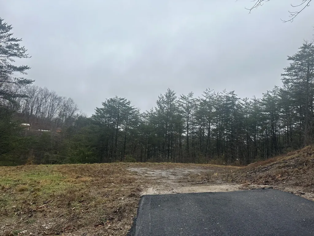 385 Lots 6/7 Freeman Branch Road East Bernstadt KY 40729