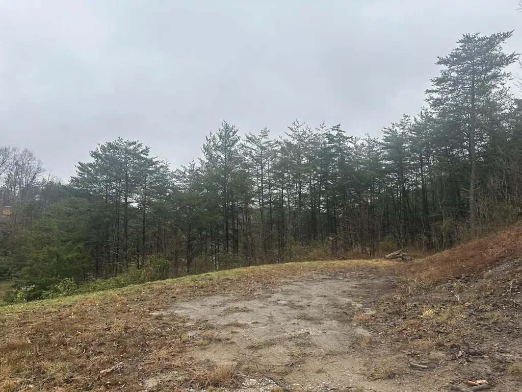 385 Lots 6/7 Freeman Branch Road East Bernstadt KY 40729