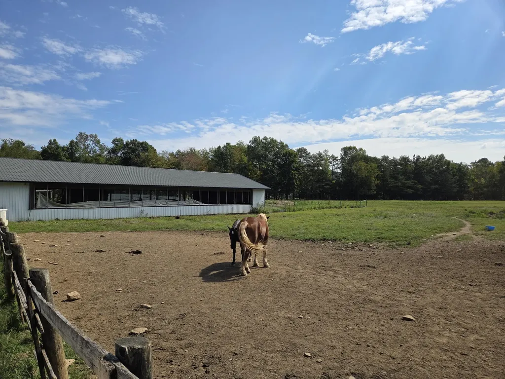 3557 Mill Creek Road Owingsville KY 40360