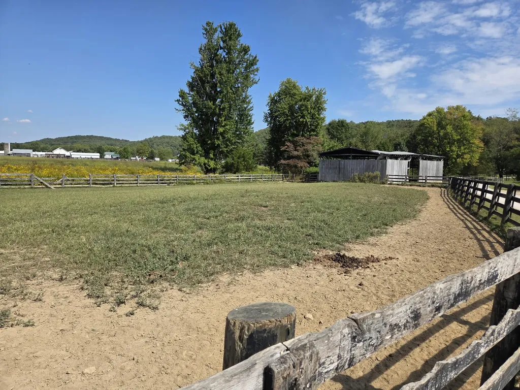 3557 Mill Creek Road Owingsville KY 40360