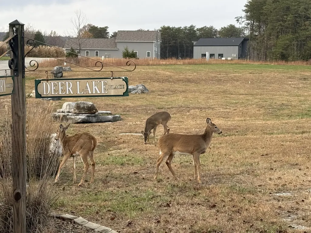 441 Deer Lake Place Bronston KY 42518