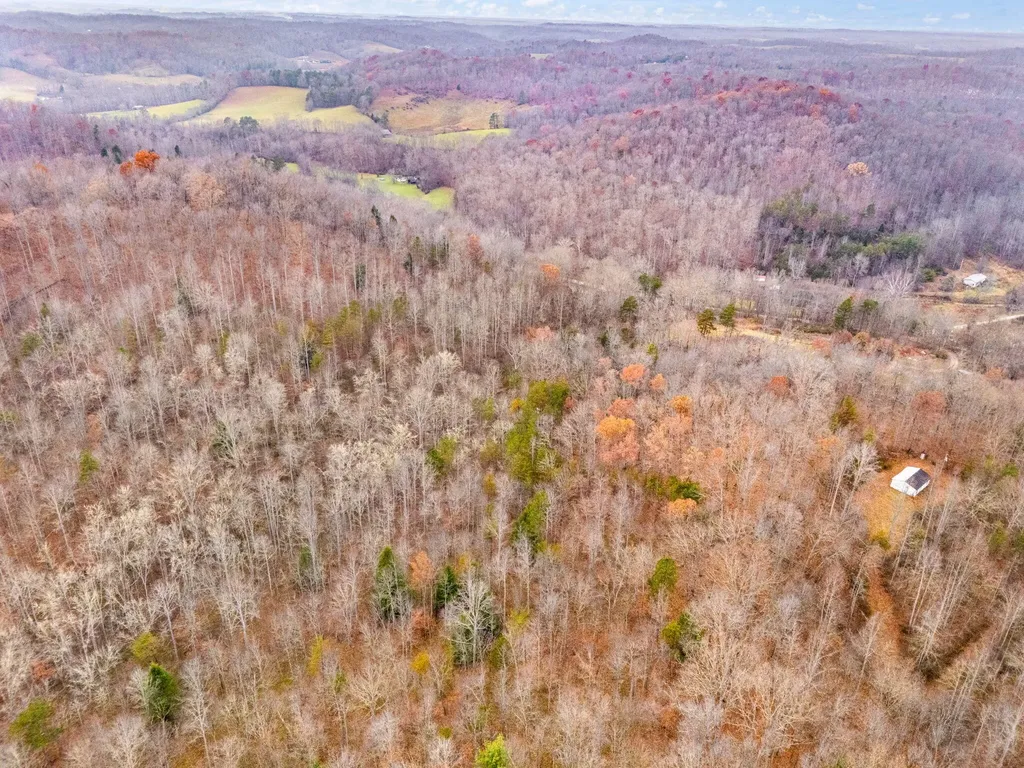 68 Acre Highway 1709 Tyner KY 40486