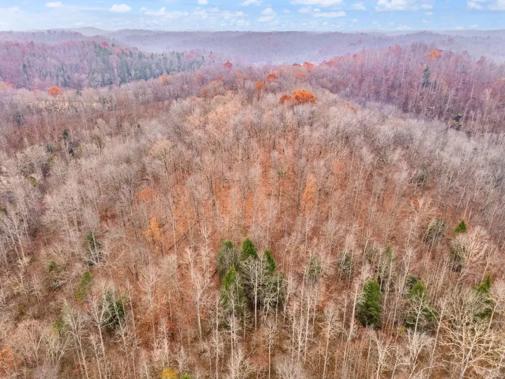 68 Acre Highway 1709 Tyner KY 40486
