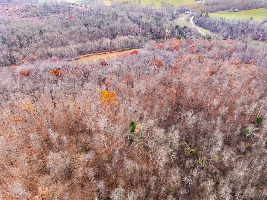68 Acre Highway 1709 Tyner KY 40486