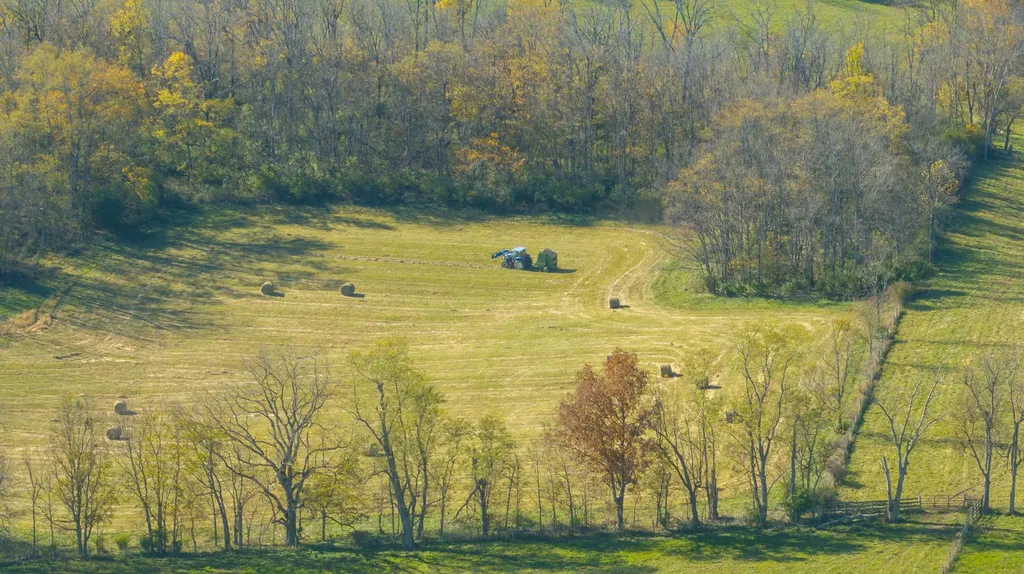 1765 B Leesburg Newtown Road Paris KY 40361