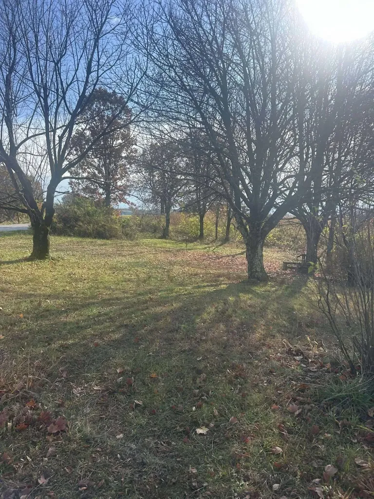 1325 Weaver Ridge Road Morehead KY 40351