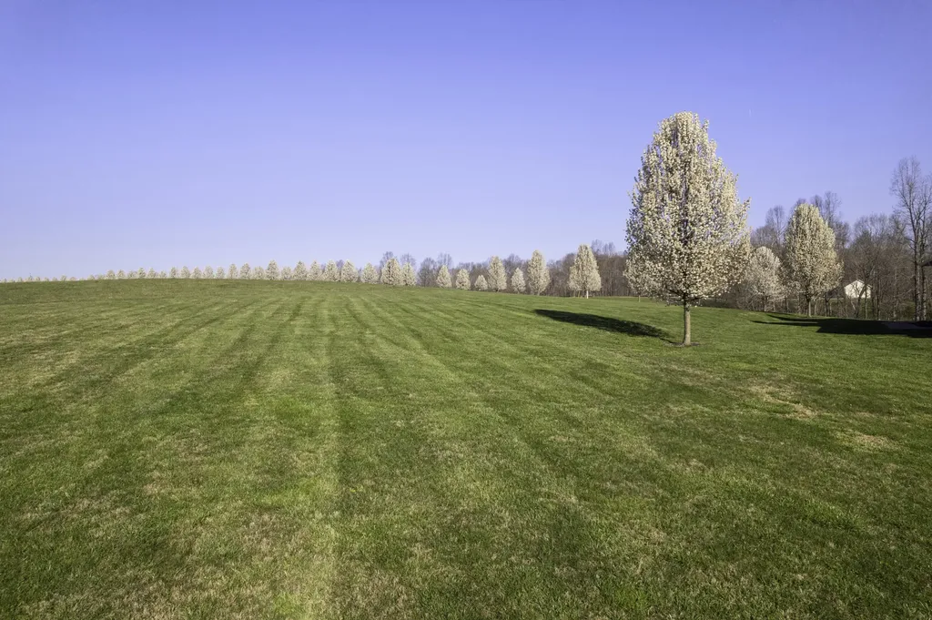 254 Deerfield Lane Dunnville KY 42528