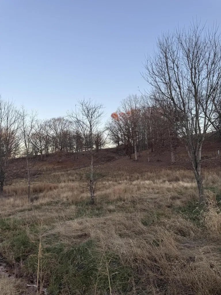 12541 Ironworks Road Winchester KY 40391