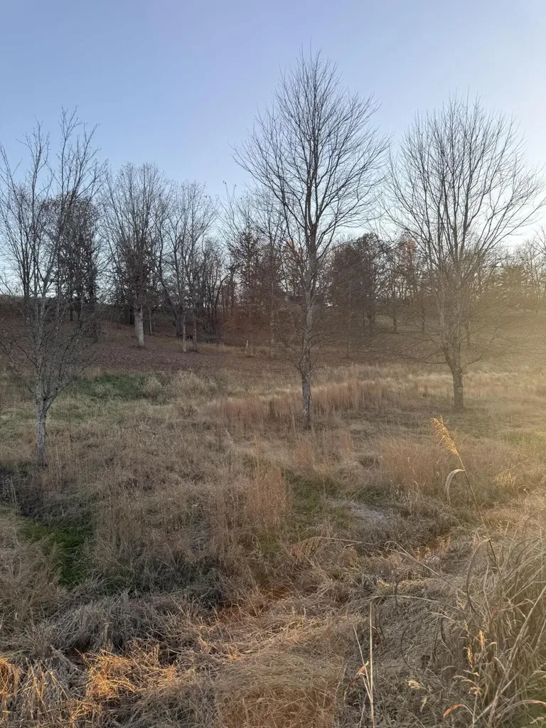 12541 Ironworks Road Winchester KY 40391