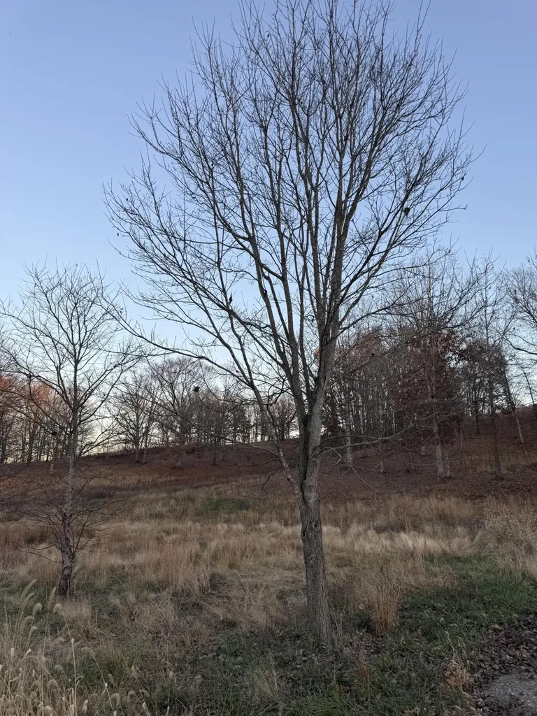 12541 Ironworks Road Winchester KY 40391