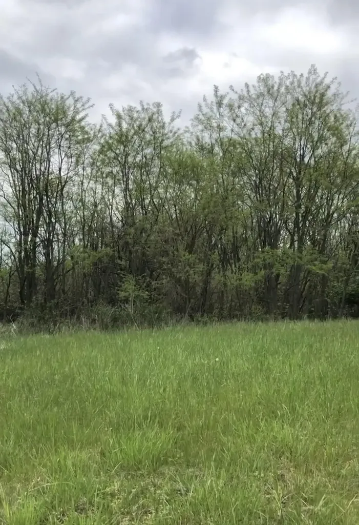 117 Windsong Way Georgetown KY 40324