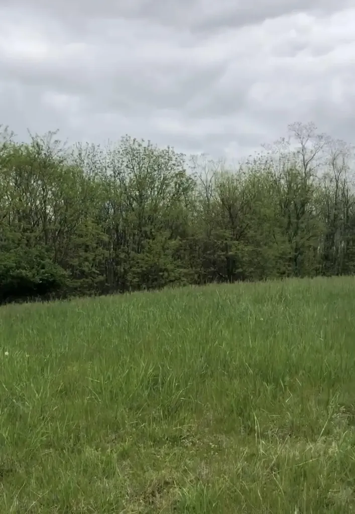 117 Windsong Way Georgetown KY 40324