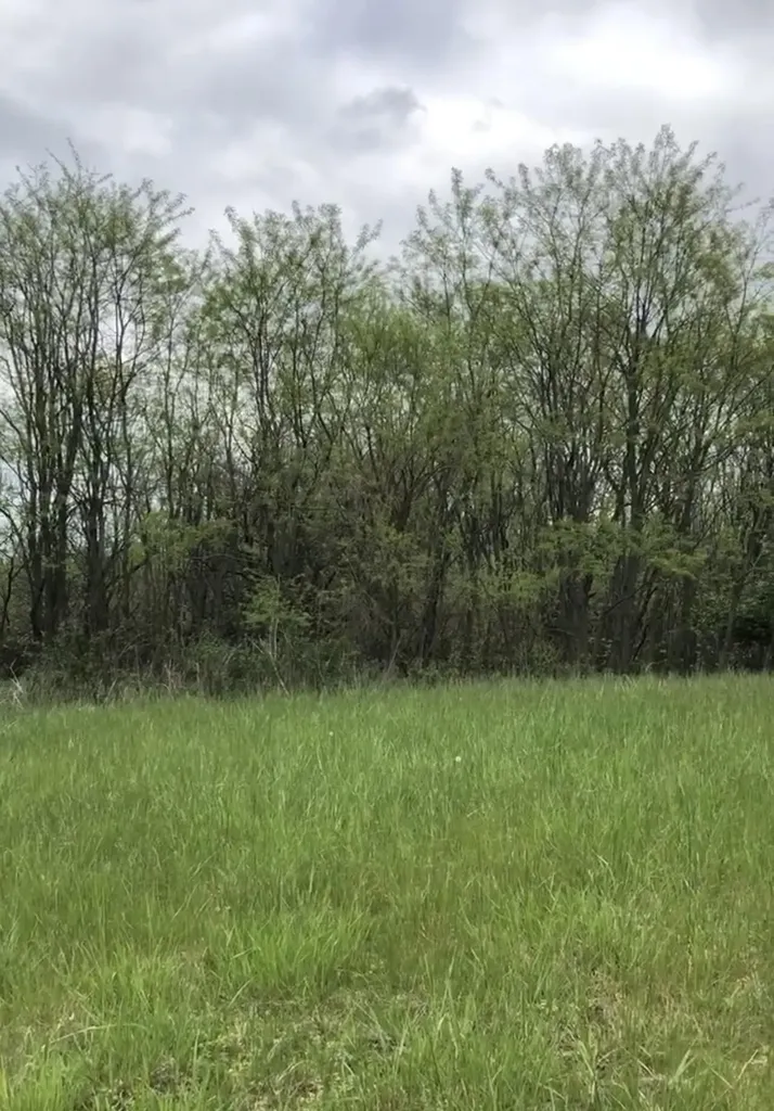 117 Windsong Way Georgetown KY 40324
