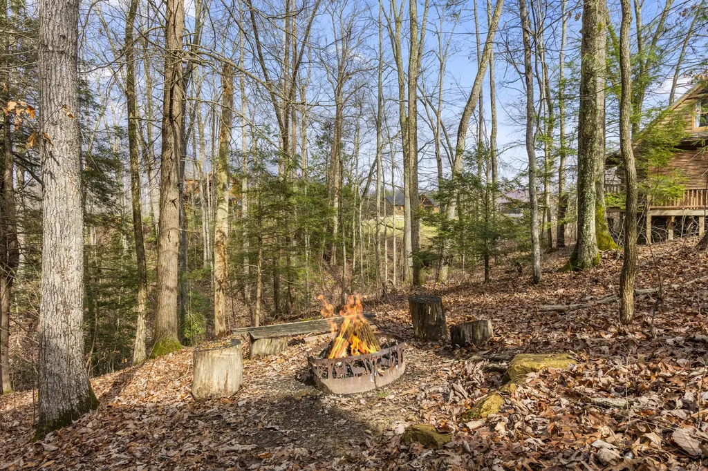 124 Deepwoods Drive Rogers KY 41365