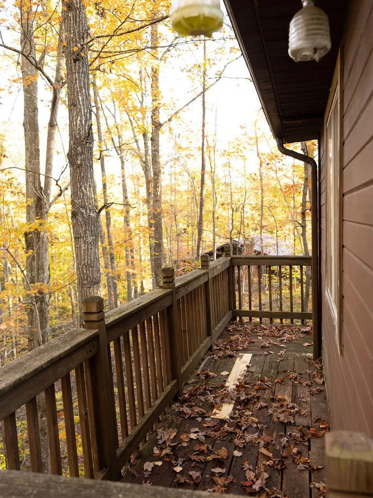 240 Cowboy Lane Wellington KY 40387