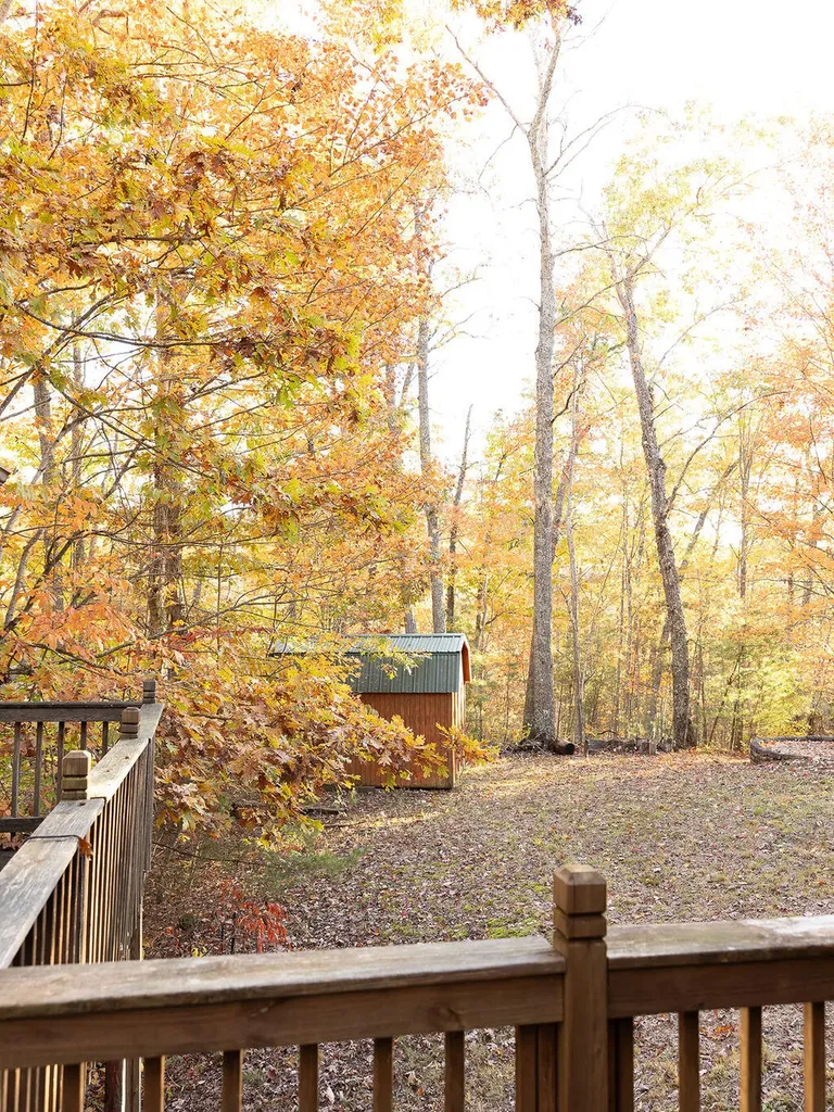 240 Cowboy Lane Wellington KY 40387