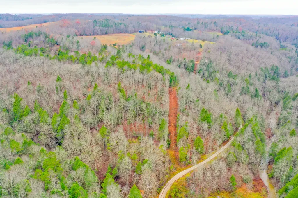9999 War Fork Road Mckee KY 40447