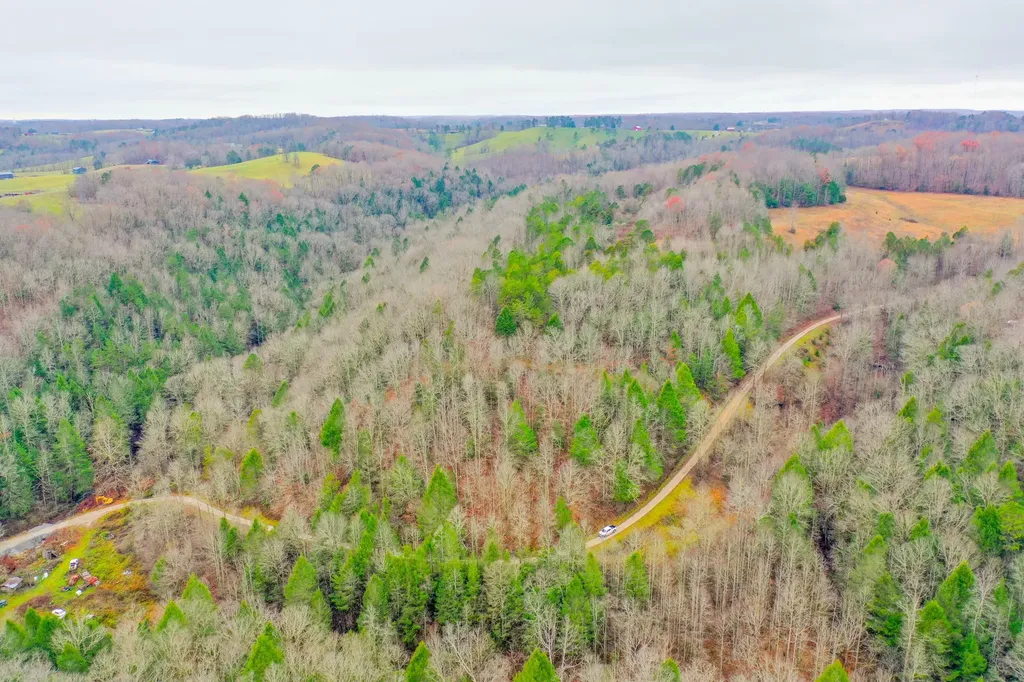 9999 War Fork Road Mckee KY 40447